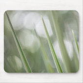 緑のポインティプラント自然写真 マウスパッド (正面)