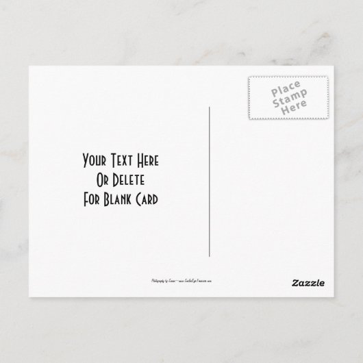 緑のマクロひまわりのフローラカスタマイズ可能はがき ポストカード (裏面)