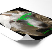 緑のヤギのギャラリーポスター特集「Pushy」 ポスター (角)