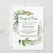 緑のユーカリブライダルシャワーの変化 (正面)