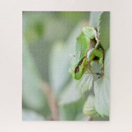 緑のヨーロッパのアマガエルの終わり ジグソーパズル