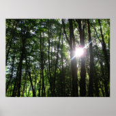 緑のライト… ポスター (正面)