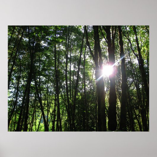 緑のライト… ポスター (正面)