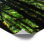 緑のライト… ポスター (角)