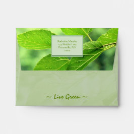 '緑のライブエンベロープ 封筒