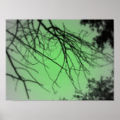 緑のライブ ポスター (正面)