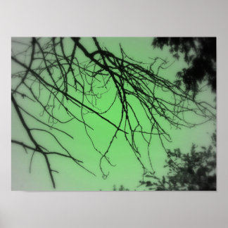 緑のライブ ポスター