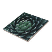 緑のリュウゼツラン タイル (側面)