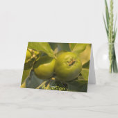 緑のリンゴ カード (裏面)