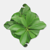 緑のリーフ取り出し特典ボックス フェイバーボックス (折り畳みなし)