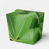 緑のリーフ取り出し特典ボックス フェイバーボックス (裏面サイド)