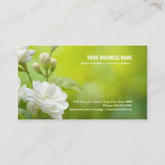緑の上のジャスミンの花 名刺 (裏面)