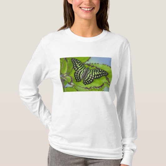 緑の上の蝶 Tシャツ (正面)