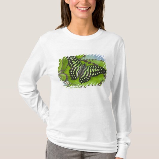 緑の上の蝶 Tシャツ (正面)