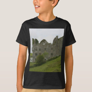 緑の丘陵の古い建物の城 Tシャツ