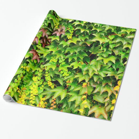 緑の両掛けの植物 ラッピングペーパー (アンロールド)