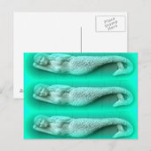 緑の人魚トリオ ポストカード (正面/裏面)