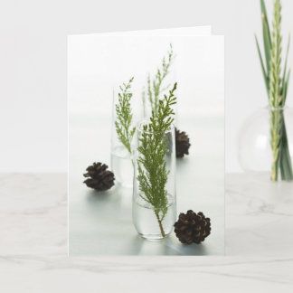 緑の休日 シーズンカード