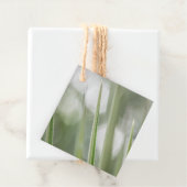 緑の先のとがった植物の自然写真 フェイバータグ (インサイチュ)