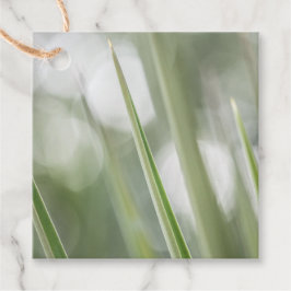 緑の先のとがった植物の自然写真 フェイバータグ