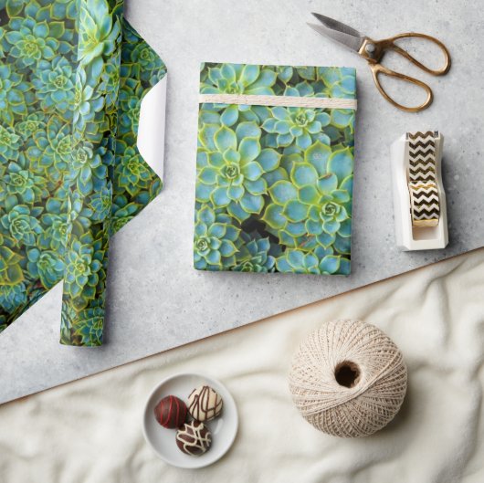 緑の光沢のある健康な多肉植物エチェベリア ラッピングペーパー (クラフト)