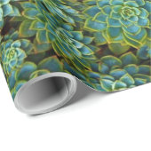 緑の光沢のある健康な多肉植物エチェベリア ラッピングペーパー (ロールコーナー)