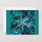 緑の写真はがき上のスノーフレーク ポストカード (正面/裏面)