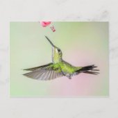 緑の冠を持つ鮮やかなハチドリ飛んでいるドリ ポストカード (正面)