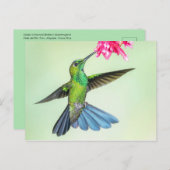 緑の冠を持つ鮮やかなハミングバード&ピンクの花 ポストカード (正面/裏面)