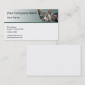 緑の勾配の緑の瞳を持つストライプのな虎猫 名刺 (正面/裏面)