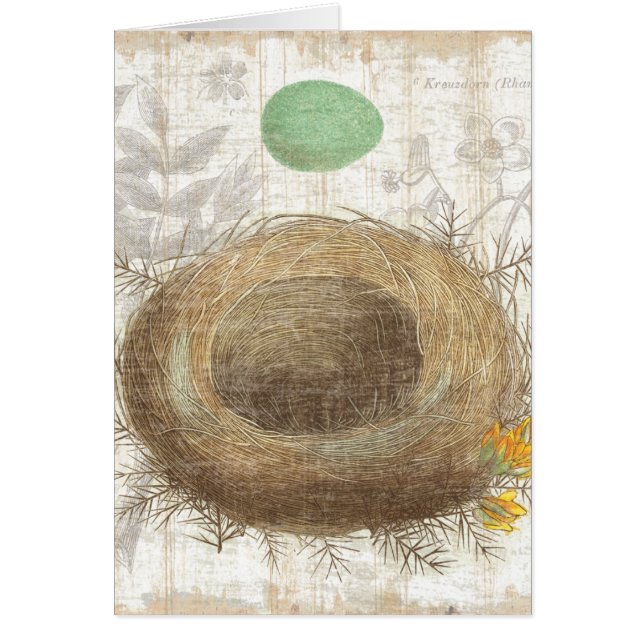 緑の卵が付いている鳥の巣 (正面)