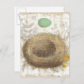 緑の卵を持つ鳥の巣 ポストカード (正面/裏面)
