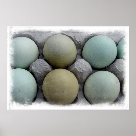 緑の卵 ポスター (正面)