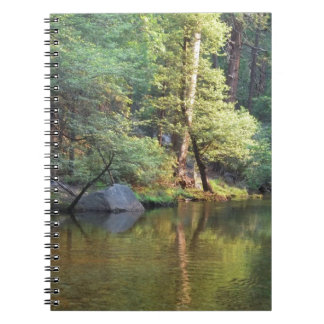 緑の反射 ノートブック