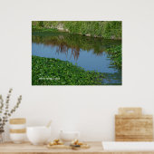 緑の反射 ポスター (キッチン)