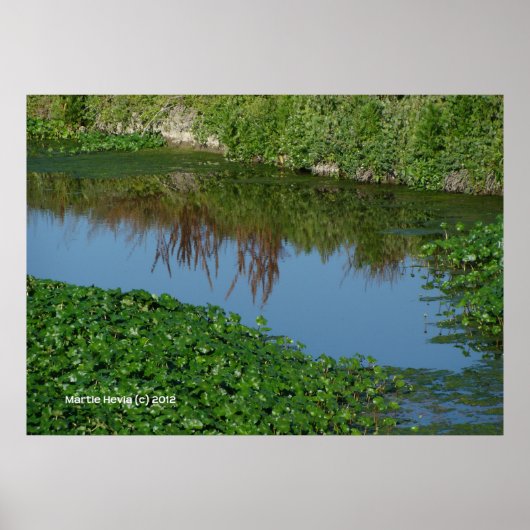 緑の反射 ポスター (正面)