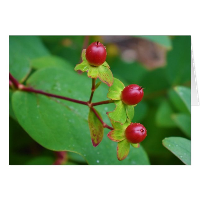 緑の地球 (正面横)