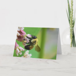 緑の地球 カード