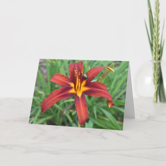 緑の地球 カード (正面)