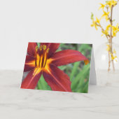 緑の地球 カード (黄色い花)