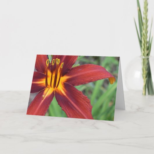 緑の地球 カード (正面)