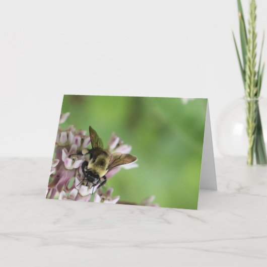 緑の地球 カード (正面)