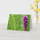 緑の地球 カード (黄色い花)