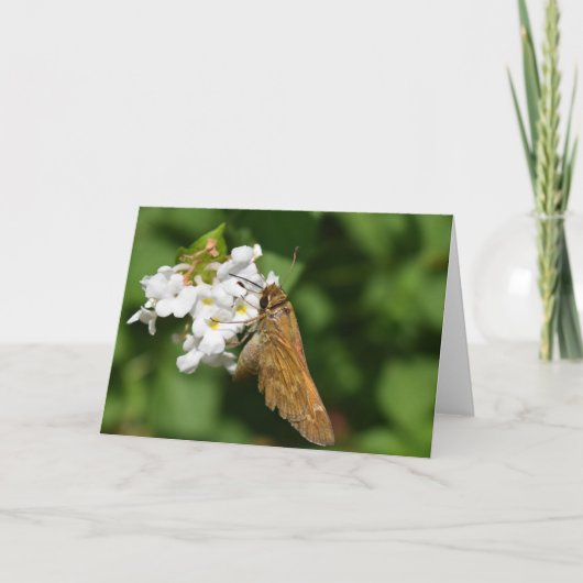 緑の地球 カード (正面)