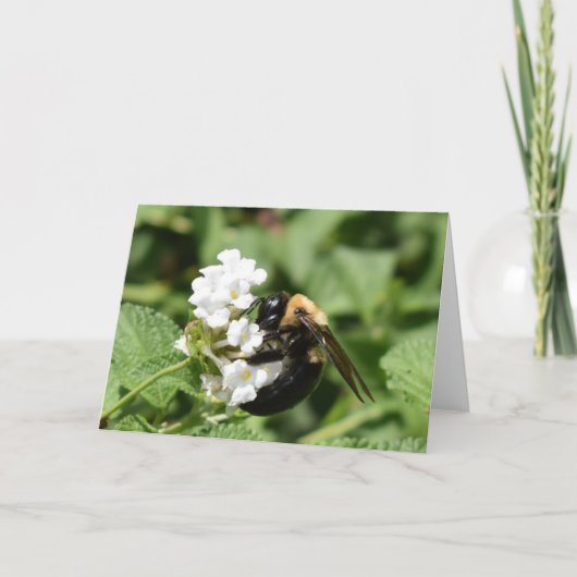 緑の地球 カード (正面)