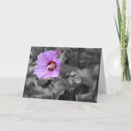 緑の地球 カード