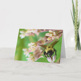 緑の地球 カード