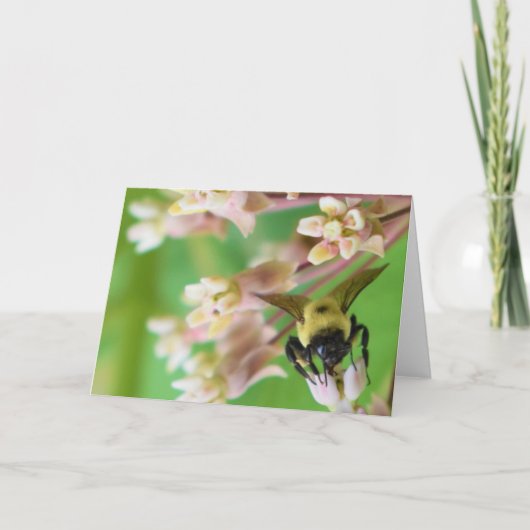 緑の地球 カード (正面)