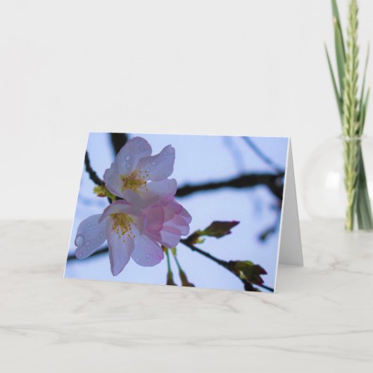 緑の地球 カード (正面)