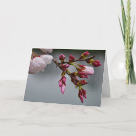 緑の地球 カード